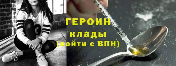 твердый Гусев