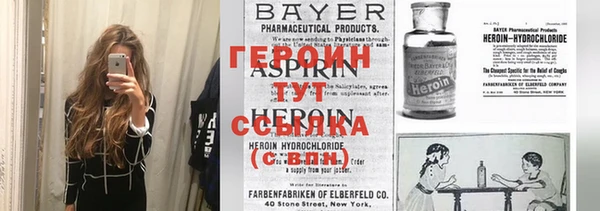 твердый Гусев
