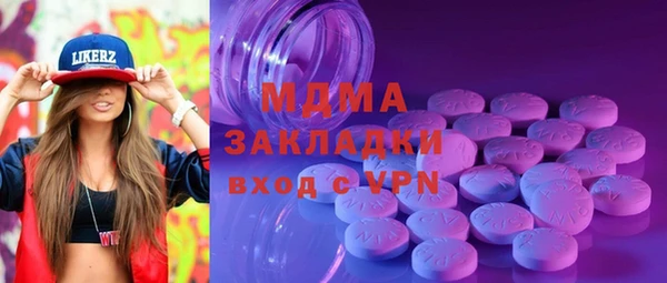 твердый Гусев