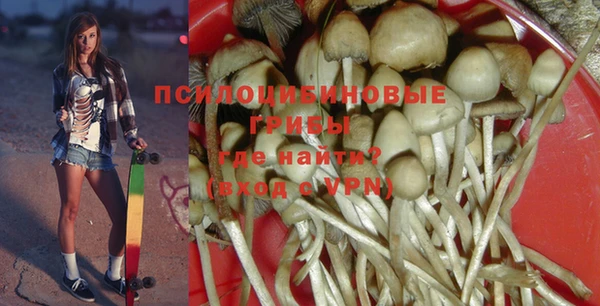 твердый Гусев