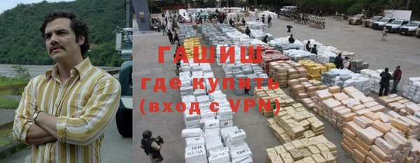 твердый Гусев