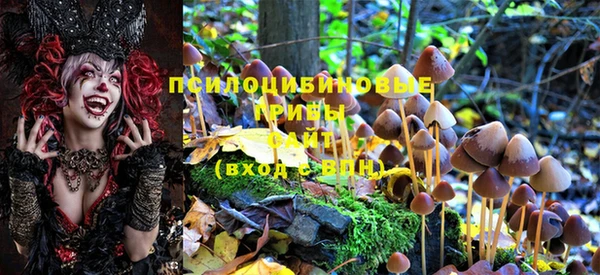 МДМА Гусиноозёрск