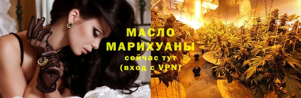 твердый Гусев