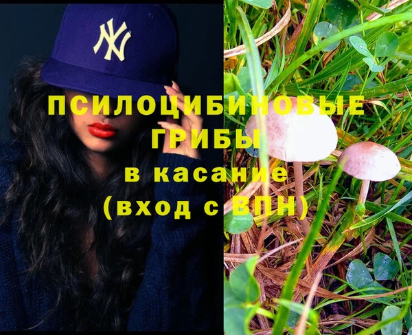 МДМА Гусиноозёрск
