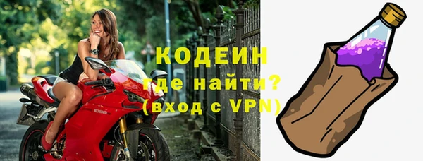 твердый Гусев