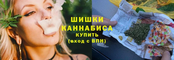 твердый Гусев