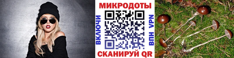 Псилоцибиновые грибы ЛСД  где продают наркотики  Октябрьск 